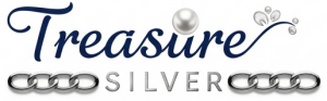 Jewerly Treasure Silver